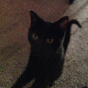 Meet your Posher, Mary